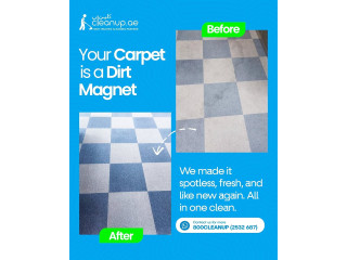 Professional Carpet Cleaning in Dubai - Cleanupae