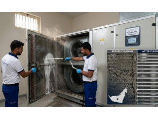 - Clean Air - Professional AC Cleaning Services in Dubai & UA
