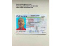 passports-visas-drivers-license-id-cards-marriage-certificates-diplomas-small-3