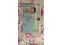 passports-drivers-licenses-id-cards-visas-diplomas-small-3