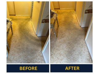 Get fast-tracked services and zero chemical use with Carpet Dry Cleaning Adelaide