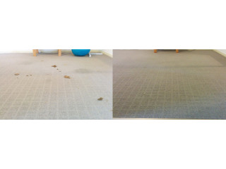 Residential carpet cleaning services