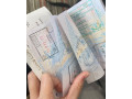 documents-cloned-cards-best-quality-passports-id-cards-visas-small-0