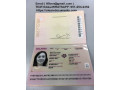 documents-cloned-cards-best-quality-passports-id-cards-visas-small-1