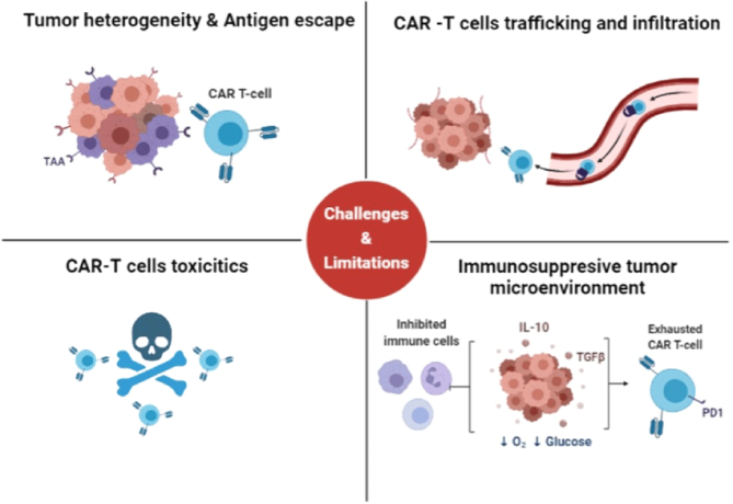 limitations-of-car-t-cell-therapy-in-cancer-treatment-in-croatia-big-0
