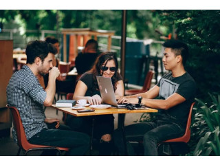 Curso de programacion online