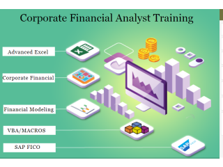 Introduction to Financial Modeling with SAP FICO, Get Financial Analyst Course in Delhi.