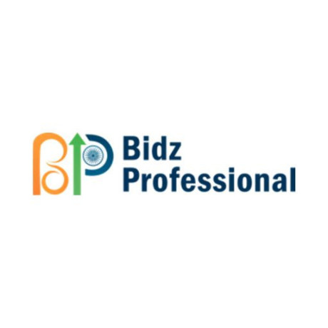 bidz-professional-gem-portal-consultant-big-0