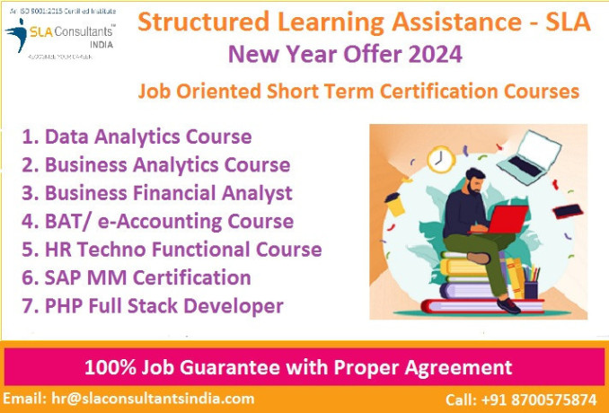 free-data-analyst-course-in-delhi-with-free-python-by-sla-consultants-institute-in-delhi-ncr-risk-management-analytics-certification-big-0