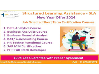 Top Human Resources Course in Delhi by SLA Consultants Institute for SAP HR/HCM Certification in Gurgaon. [100% Job, Updated Skills in 2024]