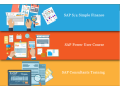 sap-finance-course-in-delhi-sla-gst-institute-gst-sap-finance-certification-bat-training-course-in-delhi-ncr-small-0