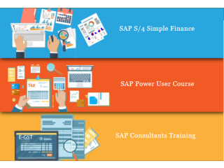 SAP Finance Course in Delhi, SLA GST Institute, GST, SAP Finance Certification, BAT Training Course in Delhi, NCR,