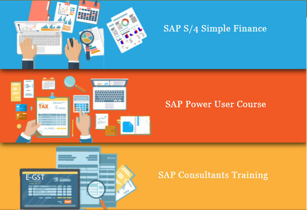 sap-finance-course-in-delhi-sla-gst-institute-gst-sap-finance-certification-bat-training-course-in-delhi-ncr-big-0