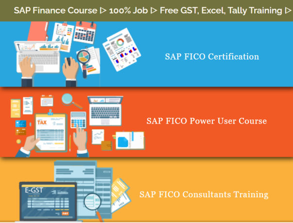 sap-fico-institute-in-delhi-kamaruddin-nagar-free-financial-accounting-classes-with-100-job-independence-offer-till-15-aug23-big-0