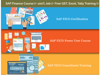 SAP FICO Training Course in Delhi, Shahdara, SLA Institute, Free SAP Server Access, 100% Job Guarantee