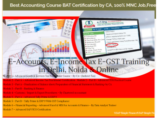 Accounting Course in Delhi, 110062, after 12th and Graduation by SLA Accounting, Taxation and Tally Prime Institute in Delhi, Noida