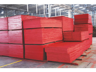 Best Shuttering Plywood Manufacturers