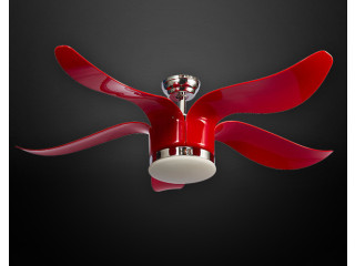 Buy Designer Ceiling Fan Manufacturers - Indigo Light