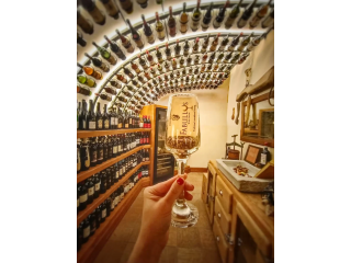 Where can I experience authentic Roman food and wine in Rome?