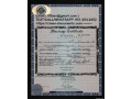 real-or-fake-novelty-passports-drivers-licenses-id-cards-visas-diplomas-small-0