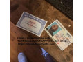 passportsdrivers-licensesid-cardsbirth-certificatesdiplomasvisas-small-3