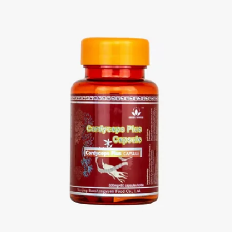 cordyceps-plus-capsule-in-burewala-03008786895-big-0