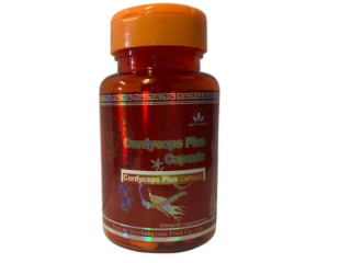 Green World Cordyceps Plus Capsule Price in Ferozwala | 03008786895 | Shop Now