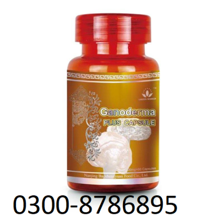 ganoderma-plus-capsule-in-swabi-03008786895-call-now-big-0