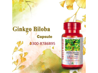 Ginkgo Biloba Capsule in Kotri | 03008786895 | Call Now