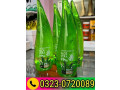 coswin-aloe-vera-99-soothing-gel-in-pakistan-03230720089-small-0