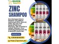 zinc-shampoo-price-in-quetta-03001819306-small-0