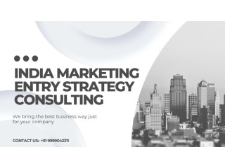 India Marketing Entry Strategy Consulting Service