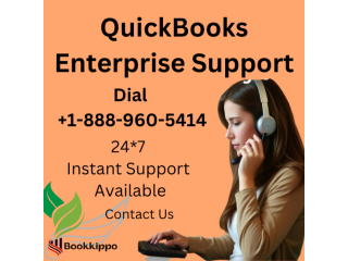 QuickBooks Enterprise Support For Live Support Service in the USA