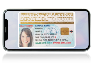 Exploring the World with an International Drivers License