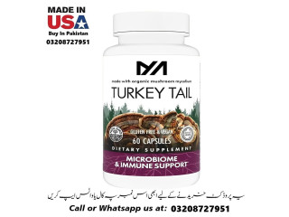 Turkey Tail Capsules Available In Pakistan For Sale 03208727951