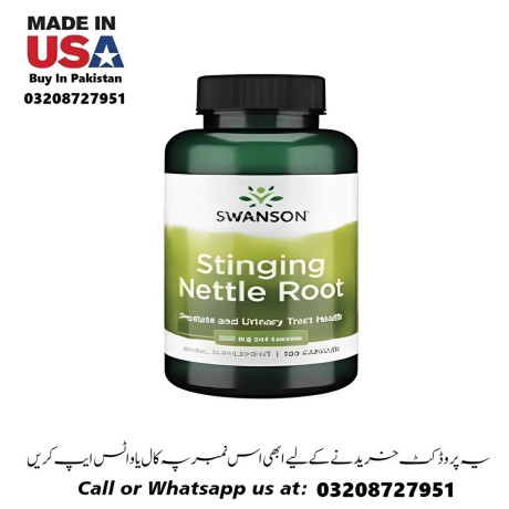 stinging-nettle-root-extract-capsules-available-in-pakistan-for-sale-03208727951-big-0