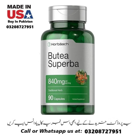 pipingrock-butea-superba-root-capsules-available-in-pakistan-for-sale-03208727951-big-0