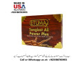 tongkat-ali-power-plus-available-in-pakistan-03186763953-small-0