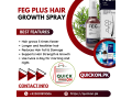 feg-plus-hair-growth-spray-price-in-sukkur-03001819306-small-0