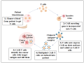 car-t-cell-therapy-targeting-cancer-with-precision-and-power-small-0