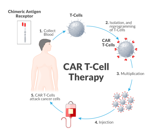 moshrat-ngah-aalag-alkhlaya-altayy-almstkbl-car-t-fy-alsodan-big-0