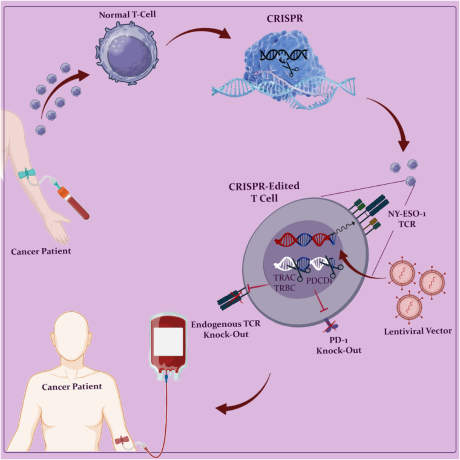 how-car-t-cell-therapy-works-for-multiple-myeloma-big-0
