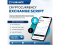 start-succeed-in-your-crypto-exchange-business-with-all-in-one-crypto-exchange-script-small-0
