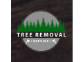 tree-removal-service-nj-small-0