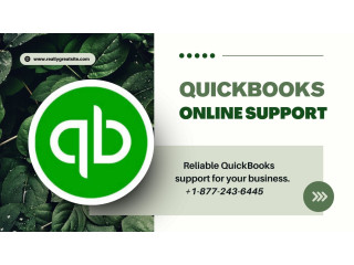 Facing Problems with QuickBooks? Get in Touch with Our Professional Support Team for Instant Help