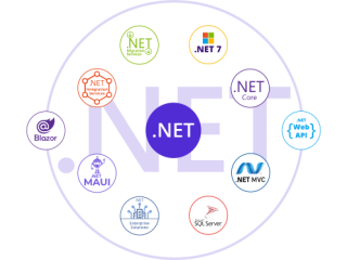 Leading Software Development Company in India