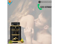 nutriley-shilajit-capsules-with-gold-price-in-pakistan-lahore-islamabad-03222076662-small-0