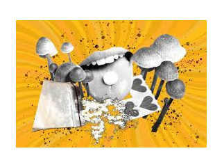 Order Mungus Grape Gummy Bears Online.