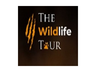 The Wildlife Tour  Experience Indias Wild Safaris with Expert Guides