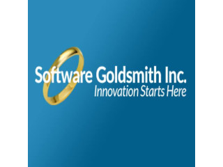 IT Project Management USA  Delivering Successful Technology Projects